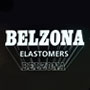 Historia de Belzona